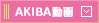 KINSHI動画